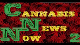 Cannabis News Now Ep 02
