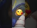 شرافت پروانی جدید ای بانوبانو بانو 