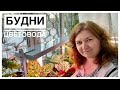 Будни цветовода | Обработка растений препаратом 30+ и фитолавином | 03.04.2022г.