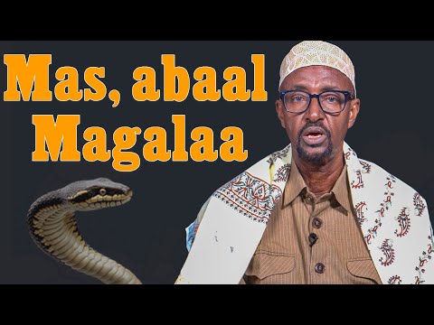 Sheeko Mas Nin Safar Ah Macallin Bashiir