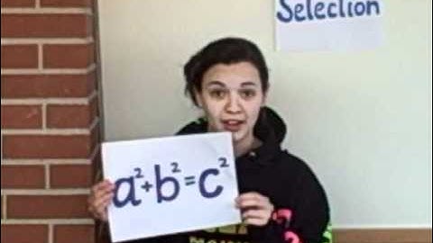 An Information Processing Model