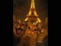 #cat #cute
