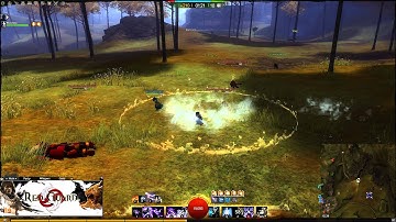 Guild Wars 2 - Desolation Teleport Hacking Thief