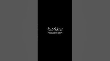 ما تيسر من سورة الأنعام | القرآن الكريم | القارئ ياسر الدوسري | كروما