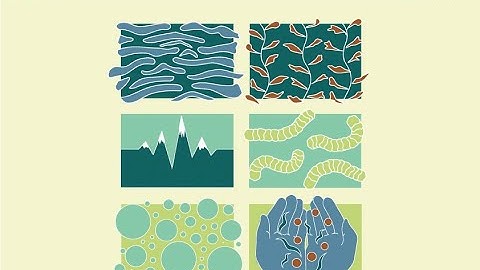 Wild SciArt: Art, Science and Algae