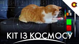 Відео з котом із космосу, Голосування за підсумки року, Французький орбітальний БАГЕТ