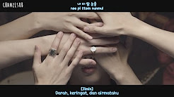 Video Mix - BTS - Blood Sweat & Tears (Indo Sub) [ChanZLsub] - Playlist 