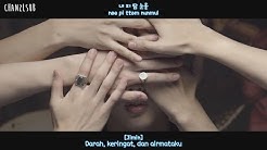BTS - Blood Sweat & Tears (Indo Sub) [ChanZLsub]  - Durasi: 6:07. 