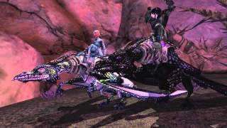 New Marketplace Items: Stormscale and Shadowscale Drakotas New Marketplace Items: Stormscale and Shadowscale Drakotas