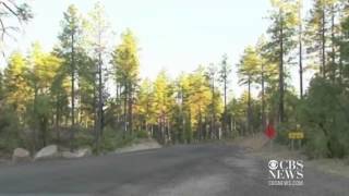 Download Lagu Bear Attacks Man And Woman In Tent MP3 Bear Attacks Man And Woman In Tent