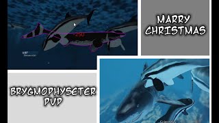 Brygmophyseter PVP - Oceanic testing 2