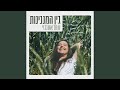 בין המנגינות בין המנגינות