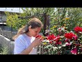 KÖYÜN GÜZELLİĞİ BENİ BÜYÜLEDİ / MUHTEŞEM KÖY HAYATI / SEYDİKEMER VLOG