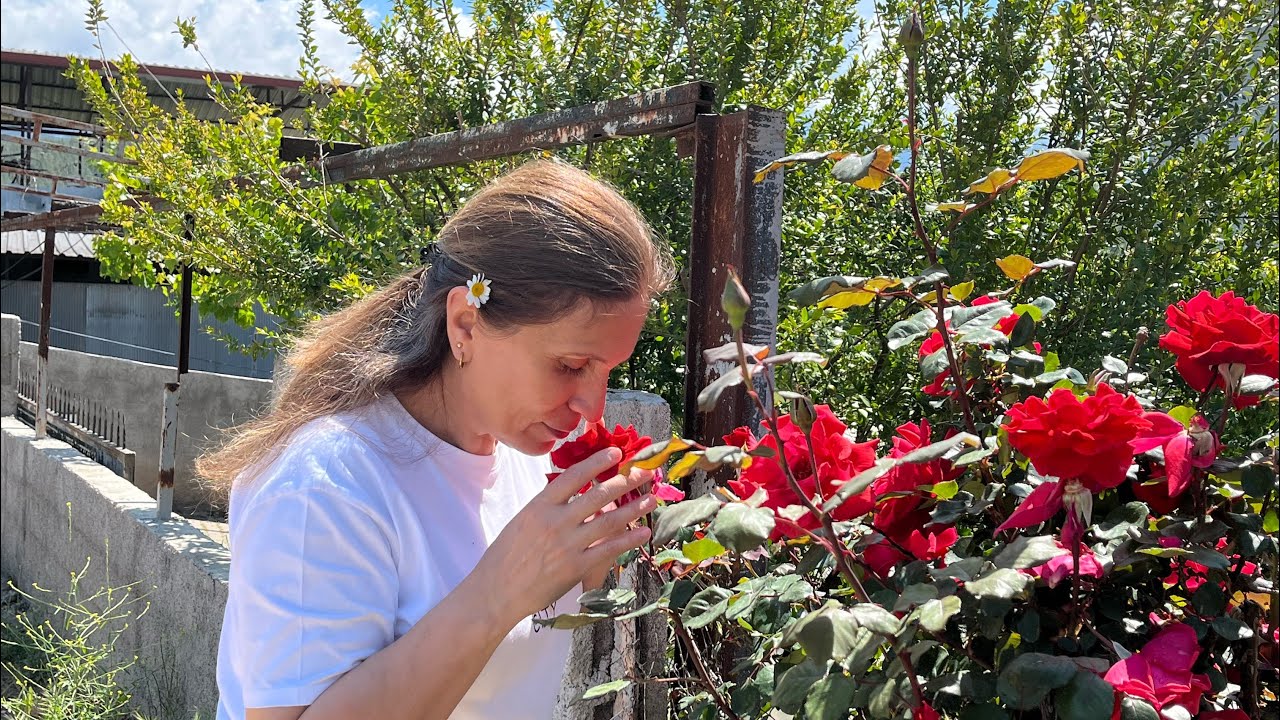 KÖYÜN GÜZELLİĞİ BENİ BÜYÜLEDİ / MUHTEŞEM KÖY HAYATI /  SEYDİKEMER VLOG