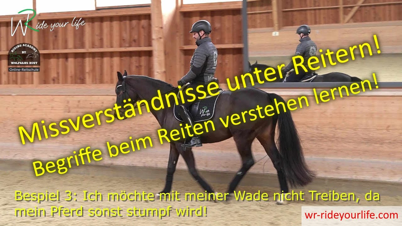 F155 Die Fachsprache deines Reitlehrers verstehen und beim Reiten am Pferd umsetzen lernen!