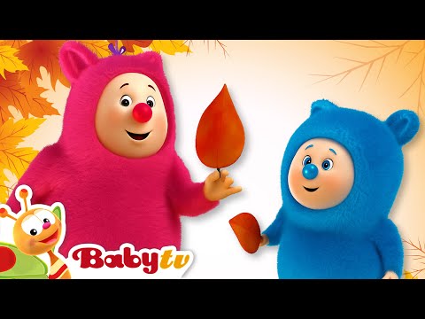Billy & BamBam si divertono in giardino 🍂 | BabyTV