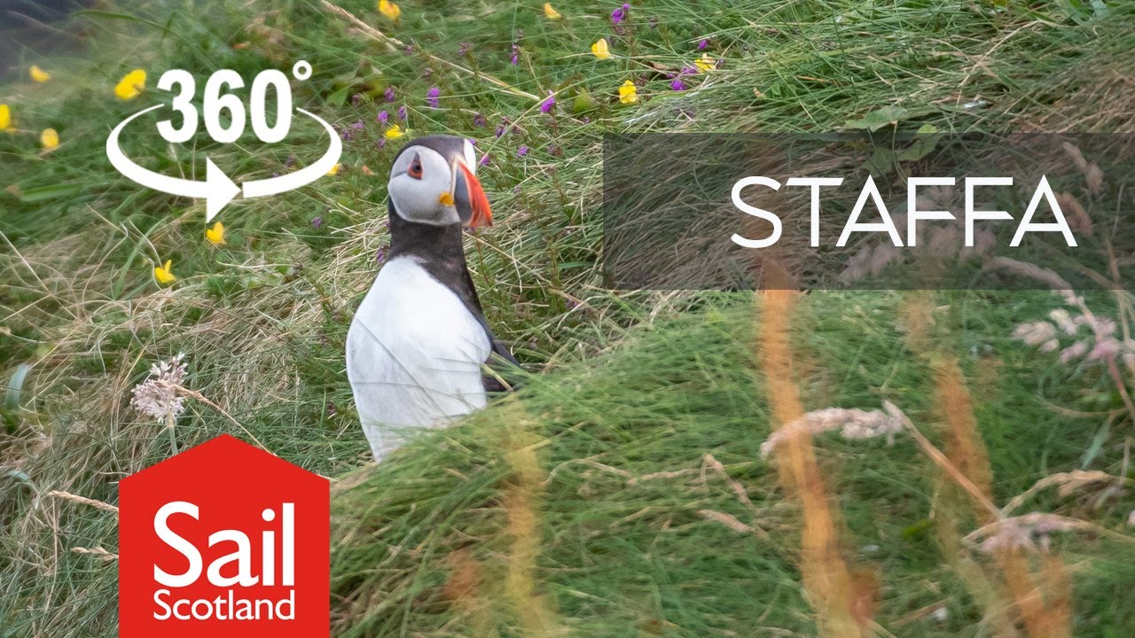 Step inside Fingal's Cave on Staffa in 360° VR | #MustSeaScotland
