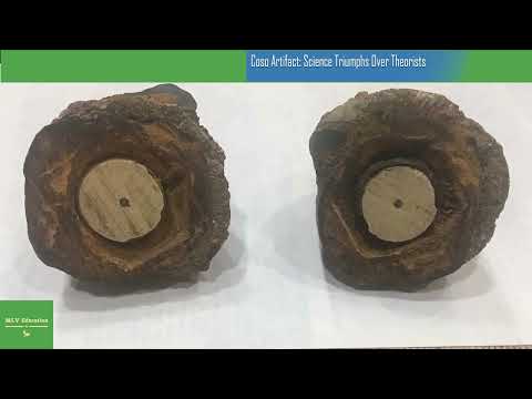 Coso Artifact: Science