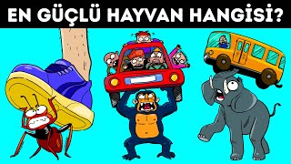 Hangi Hayvan Daha Fazla Ağırlık Kaldırır?