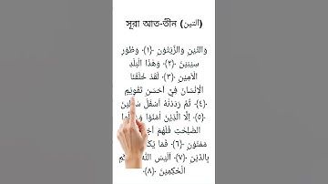 Surah At-Tin (سورة التين) | হৃদয় ছুঁয়ে যাওয়ার মতো তিলাওয়াত