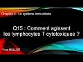 Chap 4  le systme immunitaire  q15  comment agissent les lymphocytes t cytotoxiques 