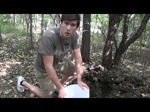 How to Easily Make Compost Tea in Minutes!