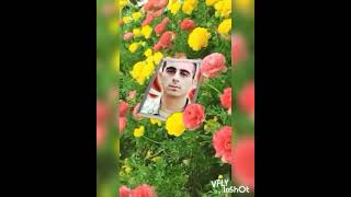 Şəhi̇dləri̇mi̇zə Ai̇d Vi̇deo Status Status Üçün Vi̇deoşəhi̇dlərə Ai̇d Bayatilar