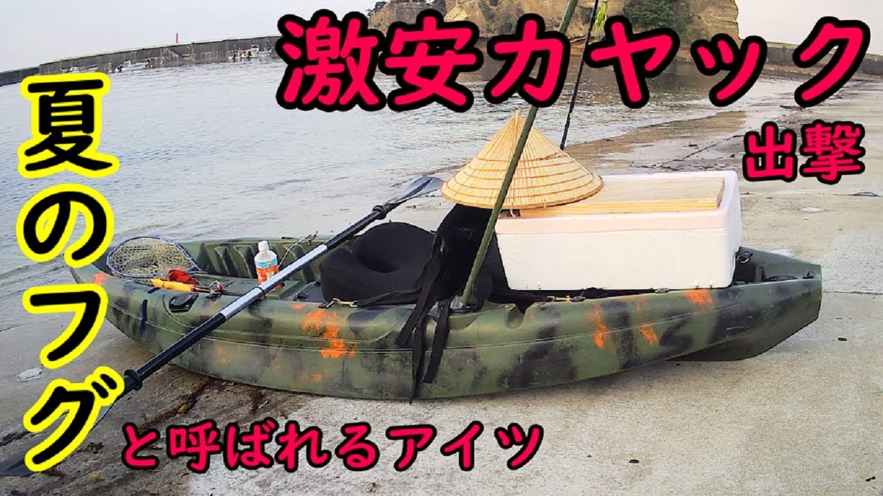 激安カヤックで釣るあの高級魚【カヤックフィッシング】 - YouTube