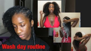 MY WASH DAY ROUTINE | NATURAL 4B/4C TEXTURE (NO PERM MID-BACK LENGTH)
