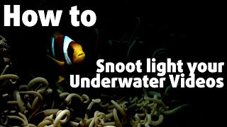 How To Use Uw Video Lights Differently 