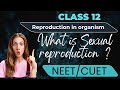 Sexual Reproduction in Organisms | How Life Reproduces and Evolves|