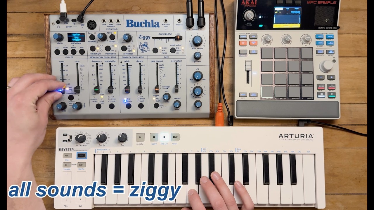 Buchla Ziggy Desktop Instrument Module | Sweetwater