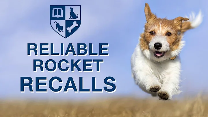 Reliable Rocket Recalls - Live Webinar with Dr. Ia...
