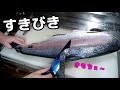 【究極のすき引き】全身骨だらけの謎の魚『ミルクフィッシュ』の全貌が明らかに!!