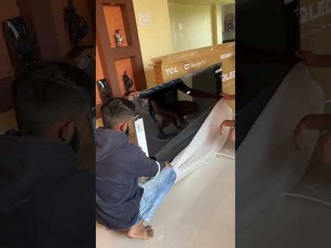 TCL 65” 4K