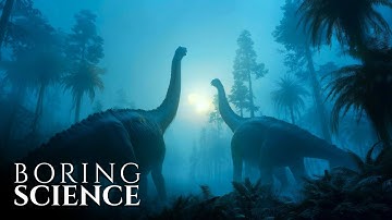 The Last Night of Dinosaurs | Boring Science for Sleep
