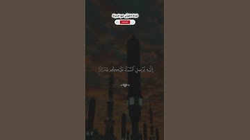 وياقومي استغفروا ربكم ثم توبوا إليه يرسل سماء عليكم مدرارا - القارئ ماهر المعيقلي #استغفار#التوبة
