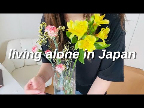 japan diaries 🇯🇵
