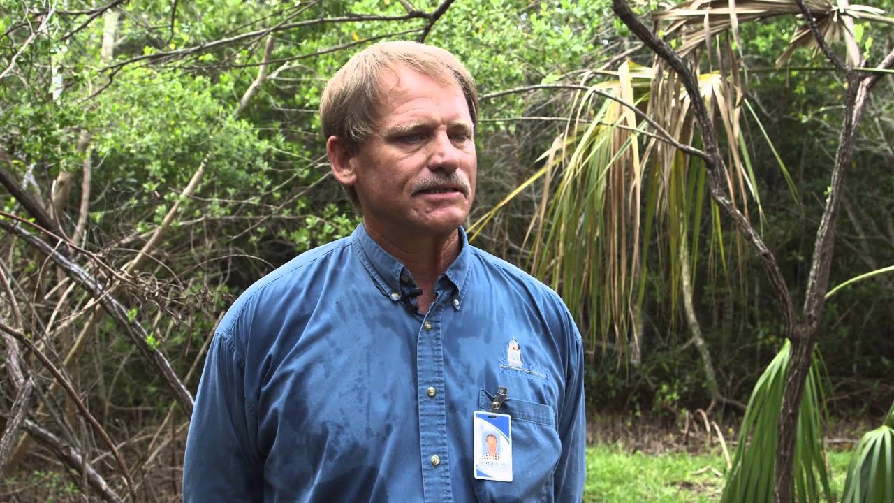 Sarasota County aims to restore natural resources