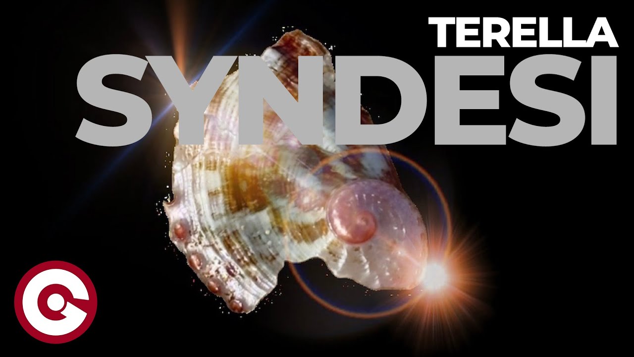 Watch TERELLA - Syndesi (Official Visual) on YouTube Watch TERELLA - Syndesi (Official Visual) on YouTube