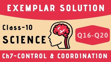 Control and coordination exemplar solution | class 10 science exemplar solution | Q16-Q20
