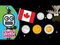 Understanding Canadian Coins and Currency