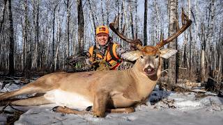 Chocolate Horn GIANT Down! (24 1/2 Wide)