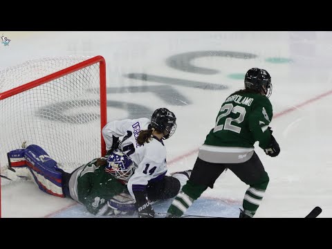 PWHL BOSTON VS PWHL MINNESOTA- TSONGAS CENTER - 1/3/2024