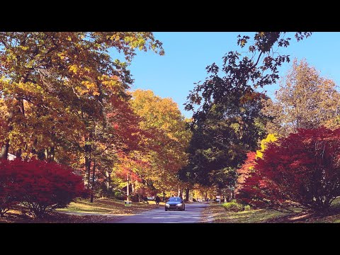 Scenic Drive - Fall Foliage in Upstate New York | Niskayuna, Schenectady New York