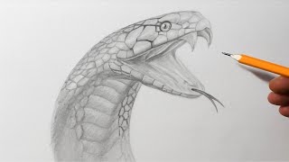 how to draw a snake pencil drawing tutorial