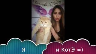 Нужно ли завтракать? Диеты. Кащи Вероника Нужно ли завтракать? Диеты. Кащи Вероника