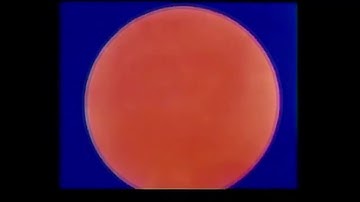 Where are we going by Mike Thifault  visual by Oskar Fischinger An Optical Poem