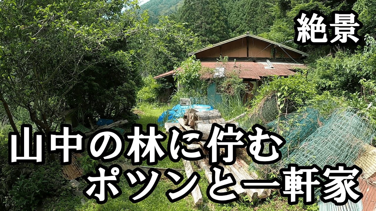 【探索】山中の林に佇むポツンと一軒家