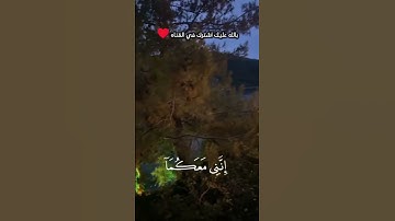 قران كريم #إسلاميات #قرآن #الرحمن #المنشاوي #راحة_نفسية